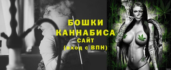 индика Новозыбков
