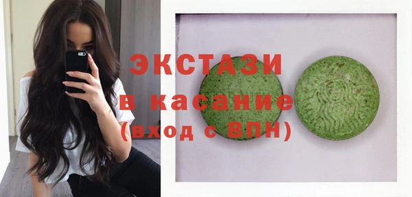 индика Новозыбков