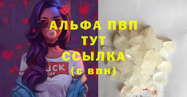 индика Новозыбков