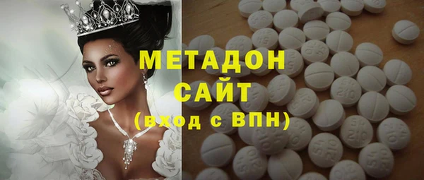 индика Новозыбков