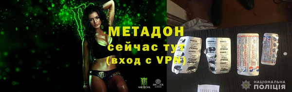 индика Новозыбков