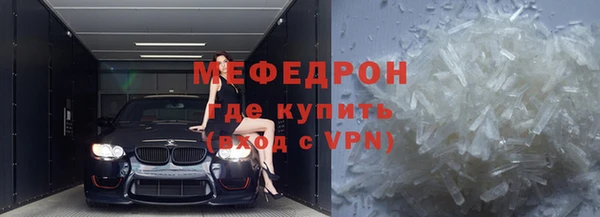 индика Новозыбков