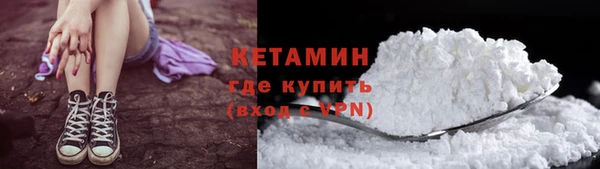 индика Новозыбков