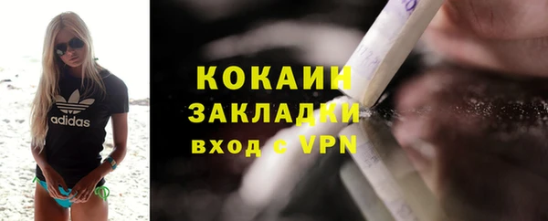 гидра Горно-Алтайск