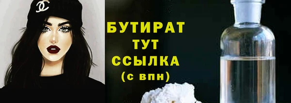 индика Новозыбков