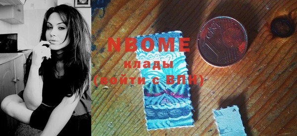 индика Новозыбков