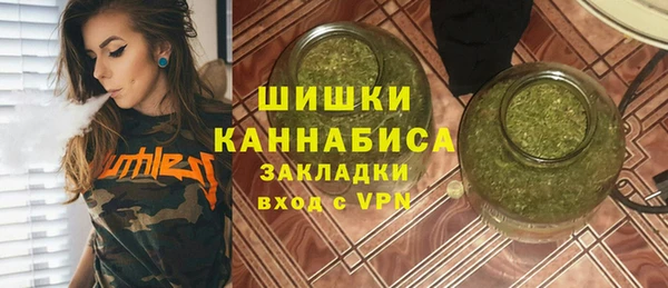 индика Новозыбков