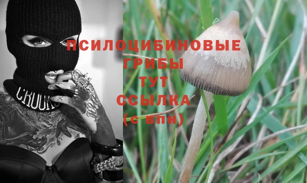 индика Горняк