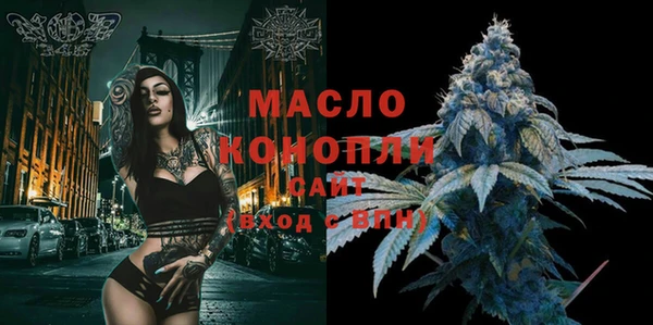 индика Новозыбков