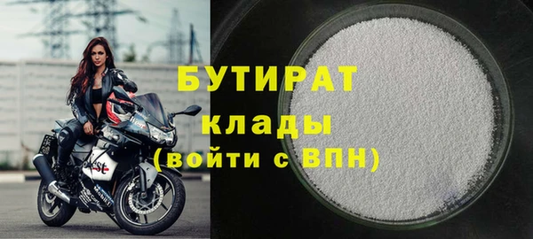 индика Новозыбков