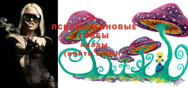 прущие крисы Новокубанск