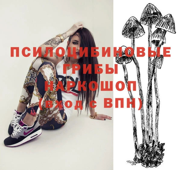 прущие крисы Новокубанск