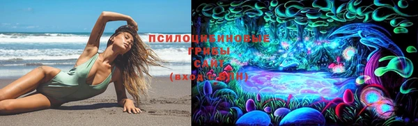 гашиш Новодвинск