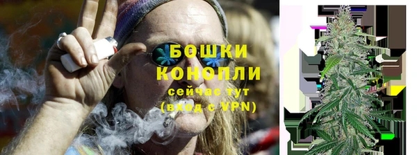 индика Новозыбков